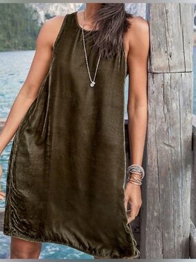 CP Shades Velvet V-Neck Dress